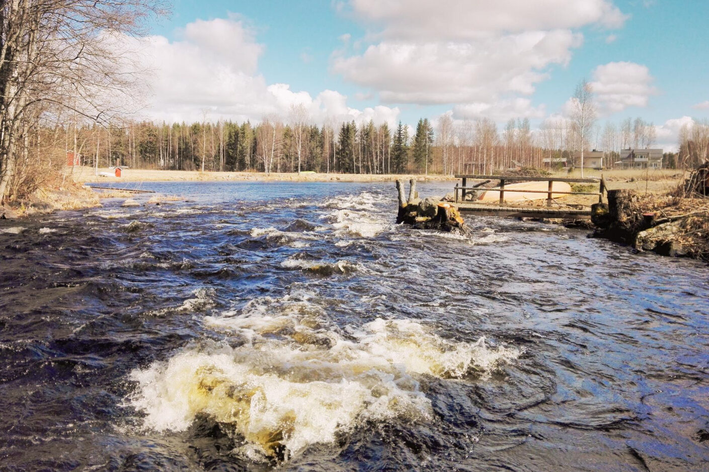 Vesistö tulvii. Taustalla näkyy laituri, maata ja metsää.