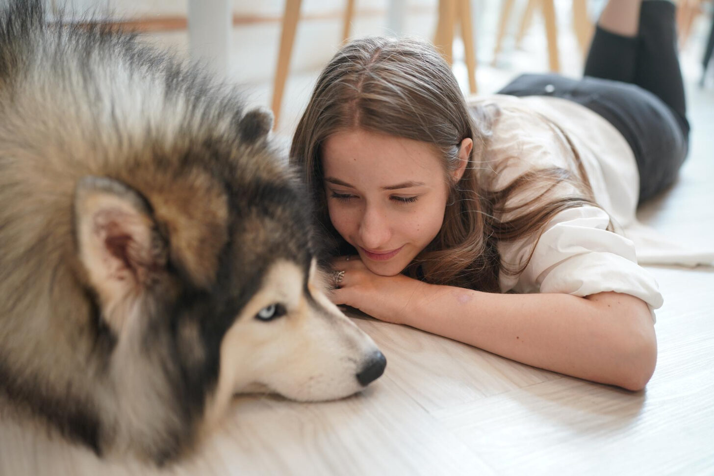 Tyttö ja huskytyyppinen koira makaavat vatsallaan lattialla ja tuijottavat toisiaan.